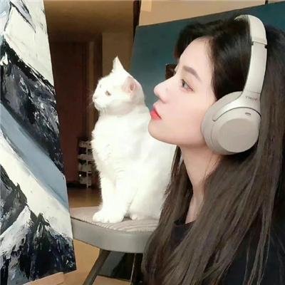 全球佳片