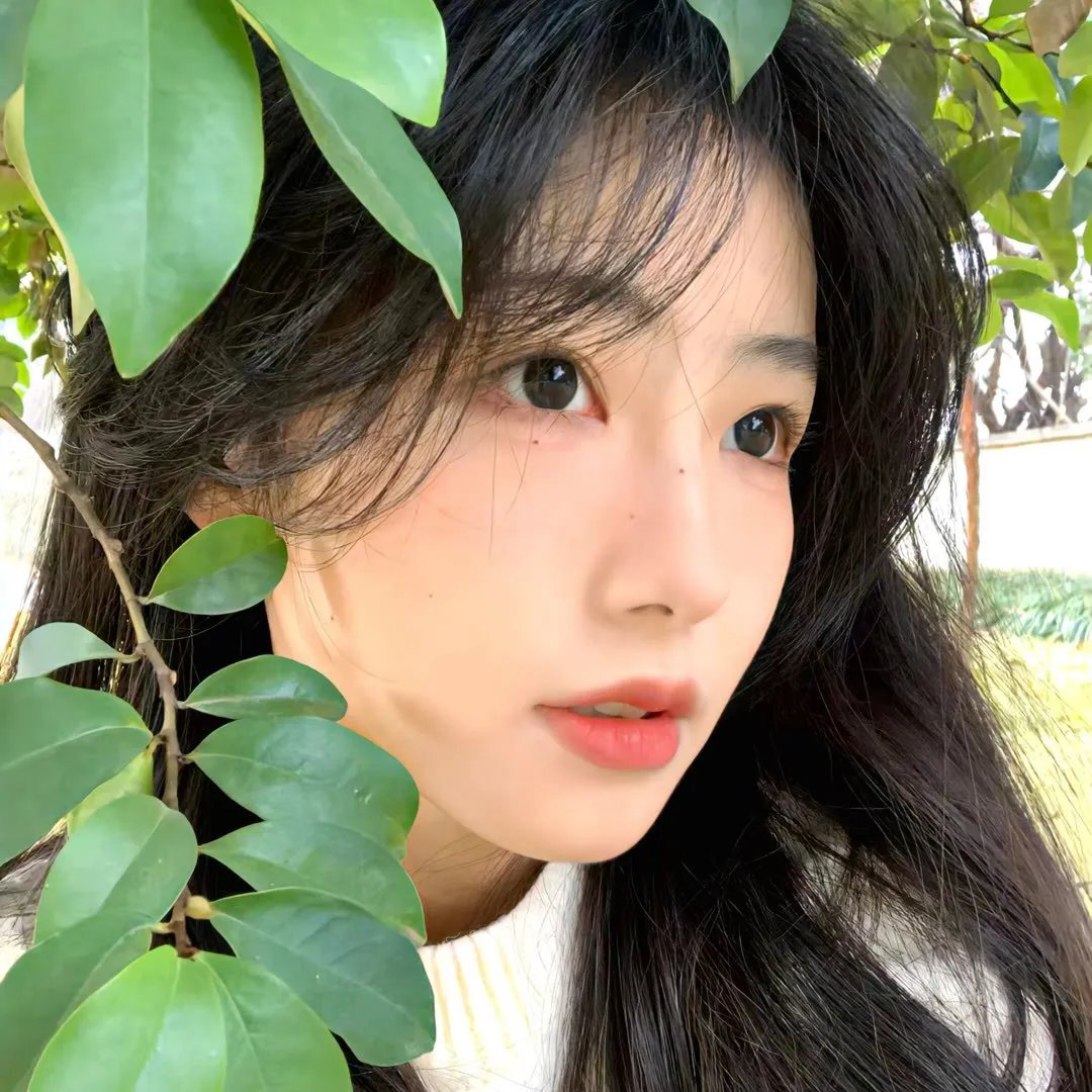 梦游仙境